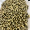 Nowy zbiór kawy Robusta 2024, import z Wietnamu - zdjęcie 3