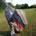 Dinozaur Raptor - zdjęcie 4