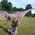 Dinozaur Raptor - zdjęcie 3
