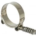 Obejma opaska typu T-CLAMP ze sprężyną stal nierdzewna W4 44-51mm - zdjęcie 1