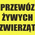 Kurs on-line na licencję Kierowcy/opiekuna przy transporcie zwierząt