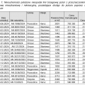 Szukam inwestora na zakup gruntu, podział i sprzedaż - zdjęcie 2